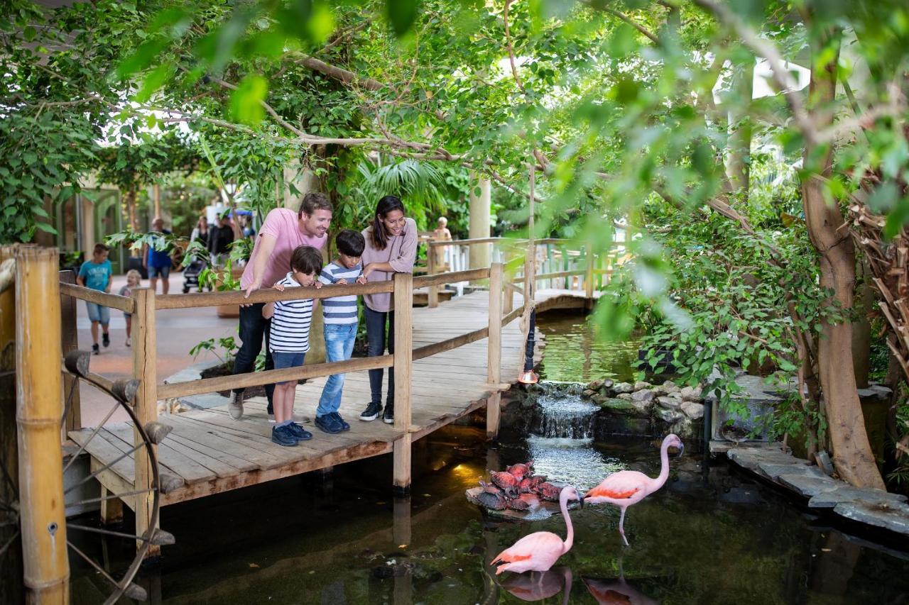 Center Parcs Port Zelande Beach Ouddorp Εξωτερικό φωτογραφία
